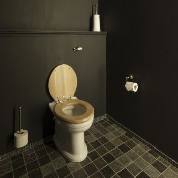 landelijk toilet - Back-to-wall