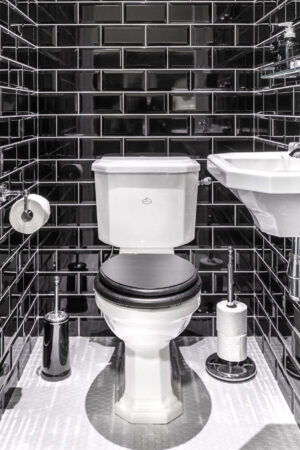 New York art deco toilet